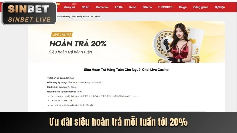 Hoàn trả hàng ngày tại nn8 nhà cái